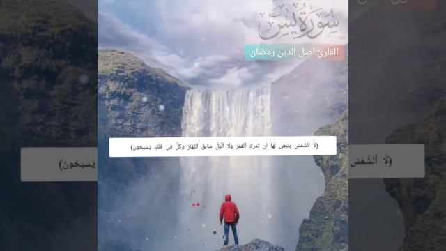 سورة يس(كاملة)❤||راحة وطمأنينة /القارئ اصل الدين رمضان/Asludin Ramadan/surah_Yasin/quran. смотреть онлайн