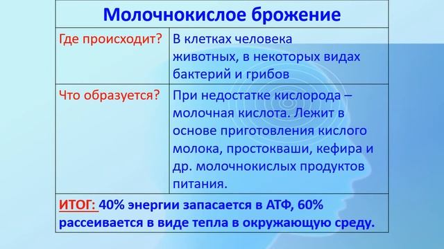 COVID 19 и иммунитет смотреть онлайн