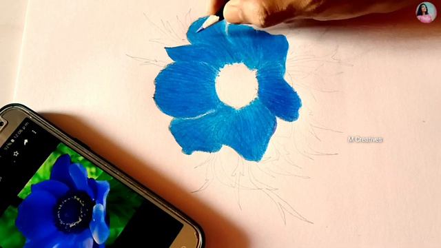 Drawing an Anemone Coronaria Flower with Colours Pencil || The Poppy Anemone Flower Drawing. смотреть онлайн