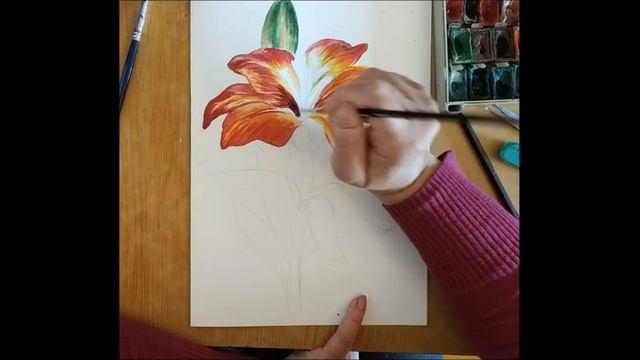 Рисунок лилии акварелью смотреть онлайн