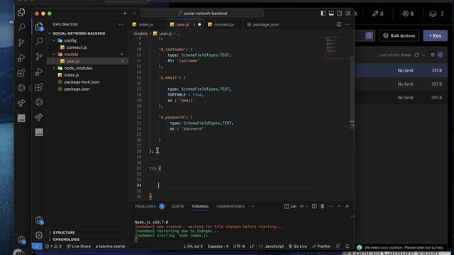 Redis : Search and Query (partie 2) Création d'un index via Node.js смотреть онлайн