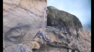 ВИДЕЛИ ЖИВОГО МАМОНТА!, MAMMOTH saw a living!