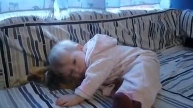 Мы очень любим кошку Фросю! смотреть онлайн