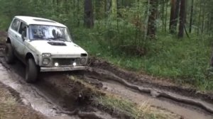 ВОЛГО мост на ниве и колея от трелевочника часть2