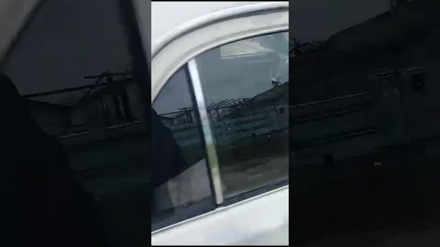 Видео WhatsApp 2023 11 22 в 14 04 58 8abc7f46 смотреть онлайн