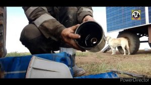К-700а. Зябь 2021.Переезд на другие поля.ТО,замена масла в двигателе.#алекс_юстасу #трактор #к700