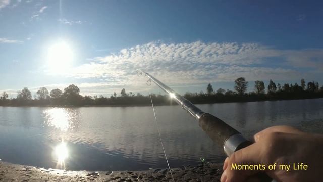 Чаус, рыбалка на Чаусе, активный клев карася осенью смотреть онлайн