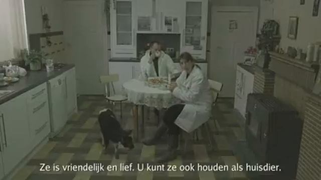 Eco Ford Focus Commercial смотреть онлайн