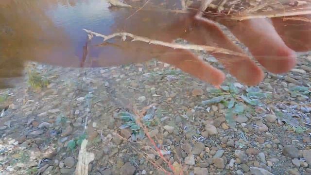 рыбалка на кунджу // остров Сахалин // на что я ловлю кунджу ? смотреть онлайн