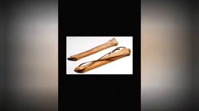 «Физическая культура и спорт - альтернатива пагубным привычкам» 5 школа Первоуральск. 9 а класс смотреть онлайн