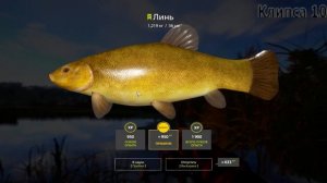 Русская рыбалка 4(рр4/rf4) - Линь на Старом Остроге!