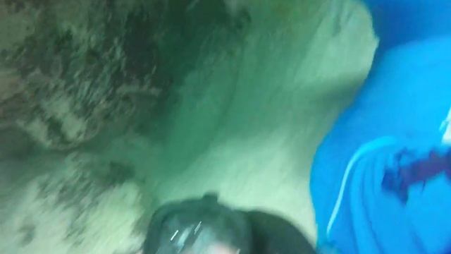 DISCOVER THE CABEZA DE TORO REEF SNORKELING - Hispaniola Auatic Adventures смотреть онлайн