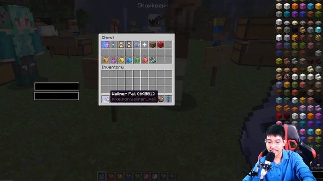 How To Customize Shopkeeper in Pixelmon Generations смотреть онлайн