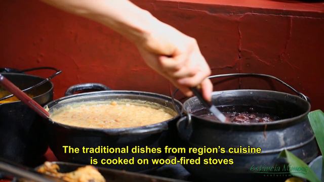 Estância Mimosa Ecoturismo - Official Video смотреть онлайн