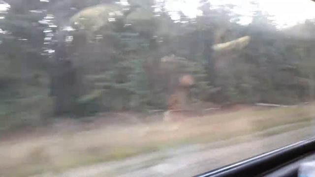 Поезд Краснодар - Москва смотреть онлайн