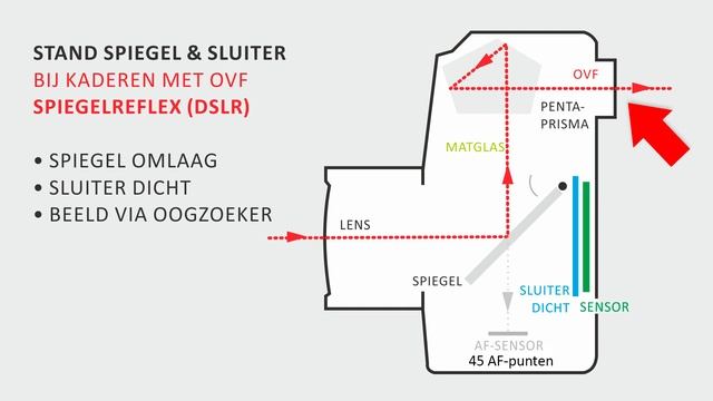 EOS Extra | Gezichtsherkenning-AF met OVF op EOS 850D/90D (Dutch) смотреть онлайн