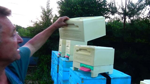 НОВИНКА Нуклеус Биненхаус смотреть онлайн