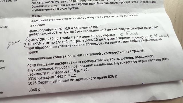 Дача, убираем, сажаем, покупки для дома и для квартиры Wildberries, Fix Price, La Redoute, Икеа смотреть онлайн
