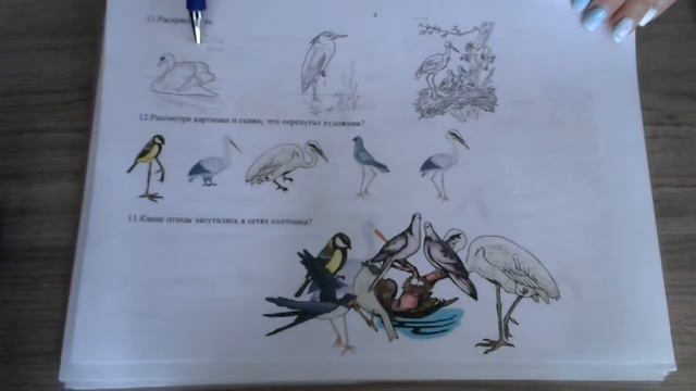 альбом "В лес, в поле, к реке" ( 2 часть) - подготовительная группа смотреть онлайн