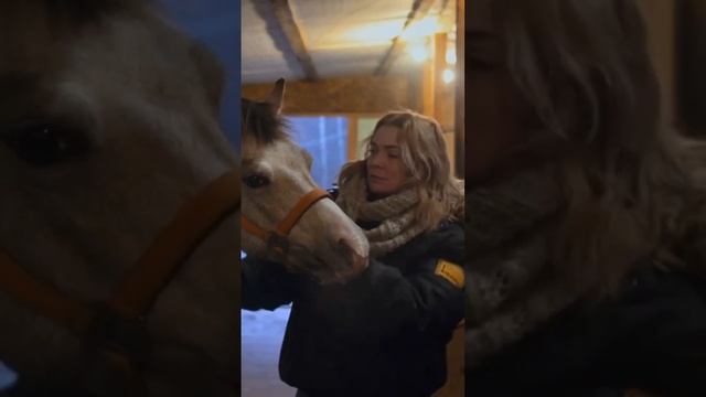 Буланая лошадь смотреть онлайн