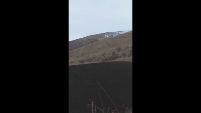 Снежный Человек Снятый на Камеру смотреть онлайн
