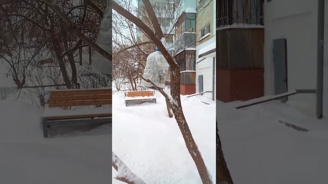 Синицы(птицы) как кормить/Tits (birds) how to feed смотреть онлайн