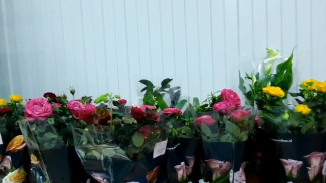 Новое направление - цветы . смотреть онлайн