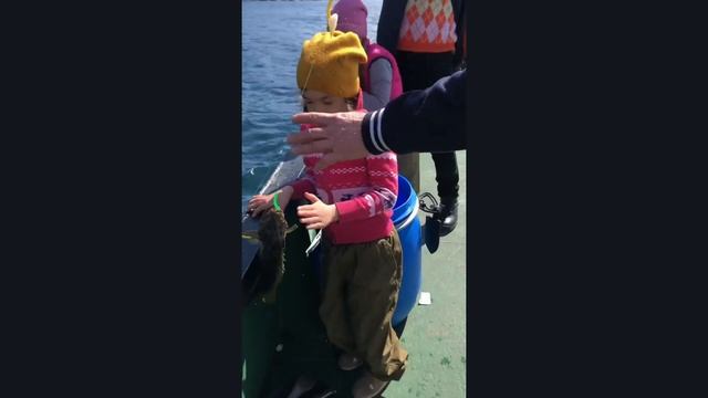 Открытие сезона Морской Рыбалки 2019. МАГАДАН. Остров Завьялова! смотреть онлайн