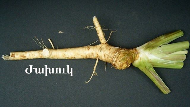 Մեհեանք․ մաս 3․ Արամ Լուտիպրիի իսկական անունը смотреть онлайн