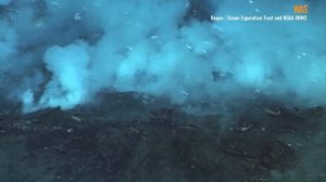 Марианская впадина. Путешествие в самое глубокое место на планете.