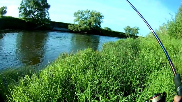 JACKALL PANICRA.Мастер класс от Pontoon 21 Fop 32.Ловля голавля спиннингом.