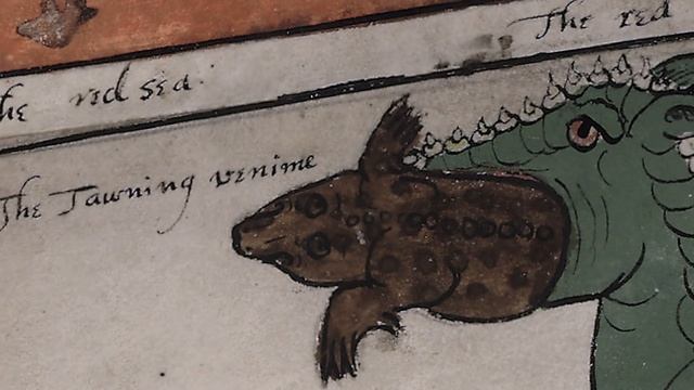 The Fantastic World Of The Ripley Scroll