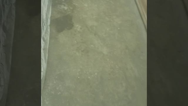 Покраска порогов на гранту, цвет корриандр