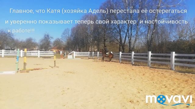 Все о кобыле в инсте и вк#обучениеверховойезде #конныйклубТроя #джигитовка #обучениеверховойезде смотреть онлайн