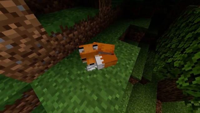 Video of a minecraft fox sleeping смотреть онлайн