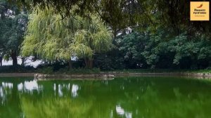 Рассказ мужчины | Измена жены. Ребёнок от любовника. Молчание. Шикарная Месть мужа. Реальная истори