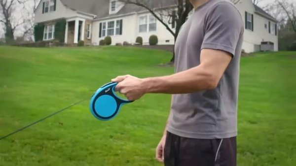 Поводок-рулетка Flexi для собак. Поводок Flexi. Рулетка Flexi для выгула животных, собак и кошек.