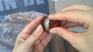 #РАМБУТАН из косточки. Экзотический фрукт. Ranbutan (Nephelium lappaceum) #Доминикана. Часть 1