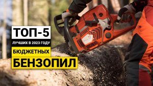 Рейтинг ТОП-5 лучших бюджетных бензопил для дома и дачи | Лучшие недорогие в 2023 году