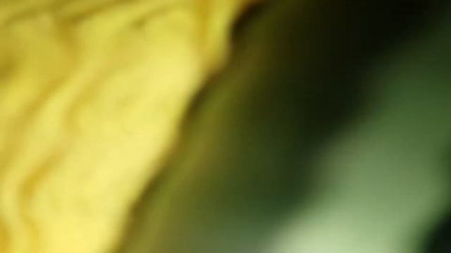 ВЛОГ. СЛОМАЛ АЙФОН 7 смотреть онлайн