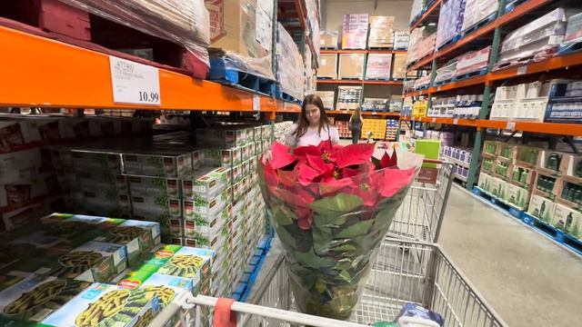 ЗАКУПКА к ПРАЗДНИКУ! ШОППИНГ в COSTCO $620 /  ЗАБИРАЕМ животных из ГОСТИНИЦЫ / UsaDay Vlog