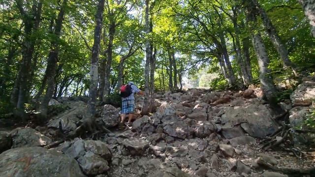 Подъем по серпантину на Ай-Петри  на дизельном Кодиаке. Как управляемость? Учан-Су и Черепашье озер