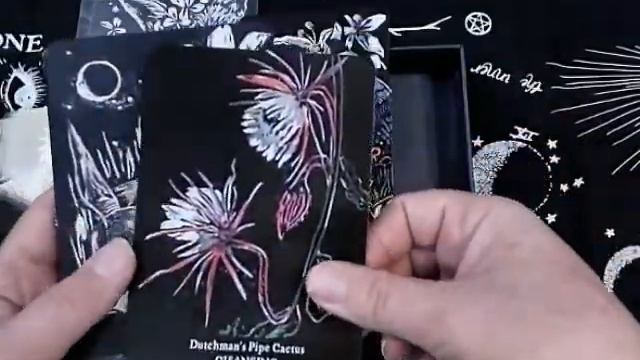 Flowers Of The Night Oracle Unboxing смотреть онлайн