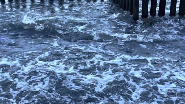 Svetlogorsk. Russia. Seafront. November 2022. Светлогорск. Набережная. Ноябрь 2022 г. смотреть онлайн