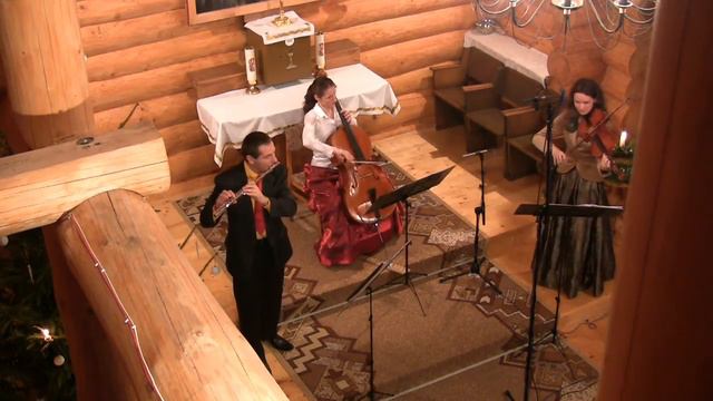 Nothing Else Matters (Metallica) on viola, cello and flute (Trio Animando) смотреть онлайн