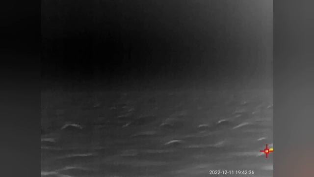 Самый дешевый Тепловизор InfiRay T2 Pro. Ночной поход по полю, в поисках волка. Кого я увидел?