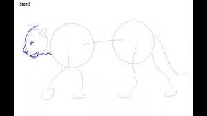 Как нарисовать тигра. Рисуем карандашом набросок. Видео для детей 7 - 8 лет.