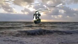 Футаж море  чайки
