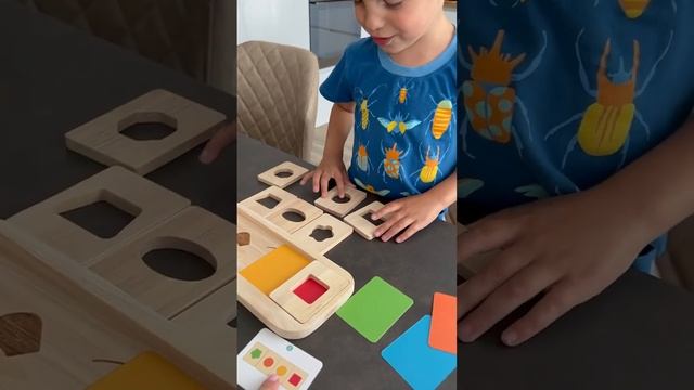 Логическая головоломка на изучение цвета и форм