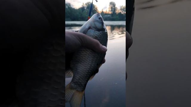 Волшебная рыбалка !